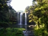 Whangerei Falls
